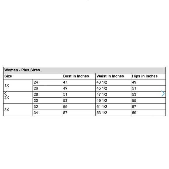 NWT Disney plus size Mickey and Minnie Denim Skirt For Adults in size 2X - Picture 8 of 16